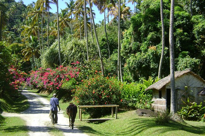 Soufriere Full-Day Land and Sea Combo Tour - Tour Overview