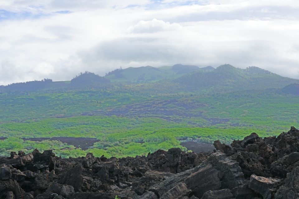 South Maui: Beach Parks Self-Guided Driving Tour - Tour Overview and Pricing