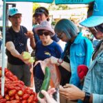 Split Food Small Group Tour Food Included Tour Overview