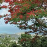 St.martin St. Maarten: Small Group, Coastal Hike & Swim Tour Meeting And Pickup