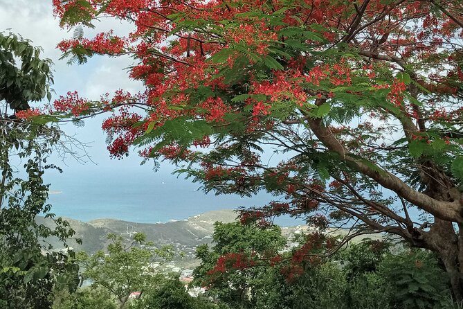 St.Martin - St. Maarten: Small Group, Coastal Hike & Swim Tour - Meeting and Pickup