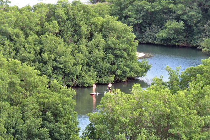 Stand Up Paddle Adventure In Guadeloupe Meeting And Pickup Details