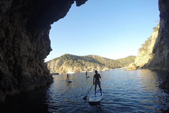 Stand Up Paddle Surf Sunset Tour - Overview of the Tour