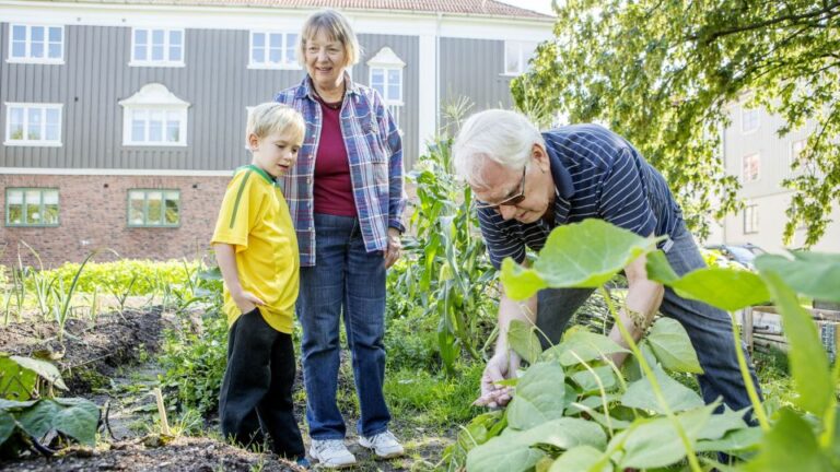 Stockholm: Sustainable Tour Tour Details