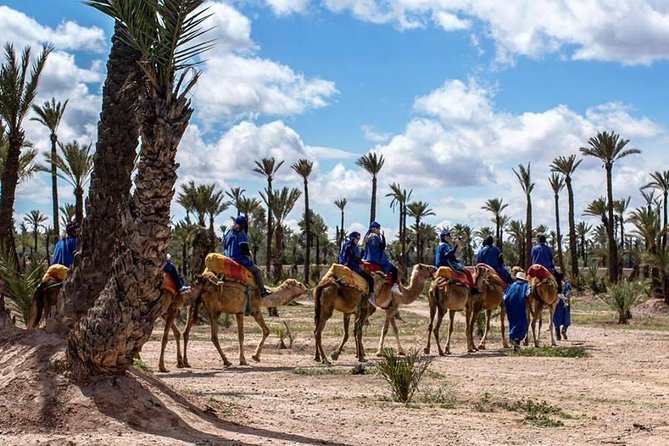 Sunset Camel Ride In Marrakech Palm Grove - Logistics and Inclusions