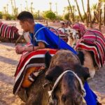 Sunset Camel Ride In The Palm Grove Of Marrakech Overview Of The Experience