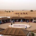 Sunset Camel Trek & Red Dunes Safari With Bbq At Al Khayma Camp From Dubai Overview Of The Experience