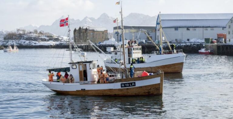 Svolvär: Fishing Trip On The Lofoten Sea Overview Of The Fishing Trip