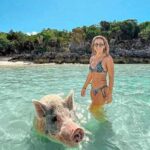 Swim With Pigs & Snorkeling With Turtles Cay Hopping In Bahamas Overview Of The Experience