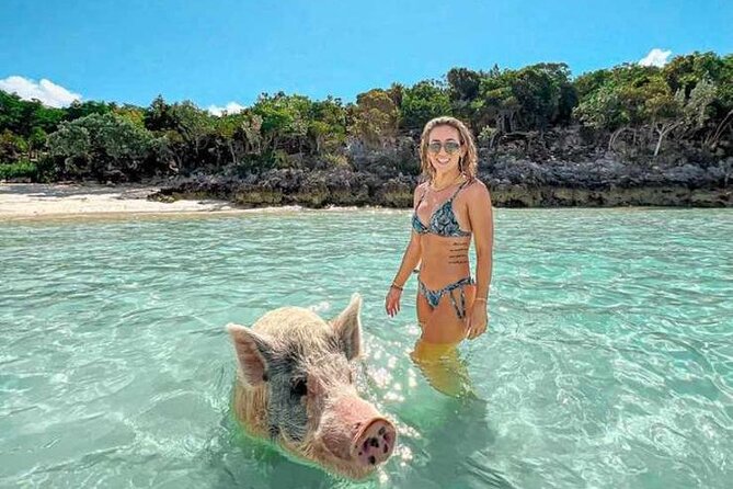 Swim With Pigs & Snorkeling With Turtles Cay Hopping in Bahamas - Overview of the Experience