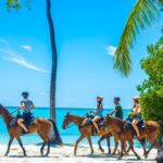 Swimming With Horses At The Beach From Punta Cana Free Transportation Overview And Highlights