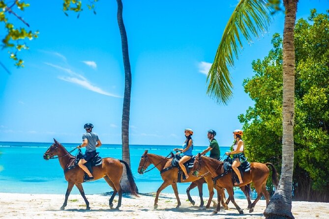 Swimming With Horses at the Beach From Punta Cana Free Transportation - Overview and Highlights