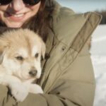 Talkeetna: Alaskan Winter Dog Sledding Experience Overview Of The Experience