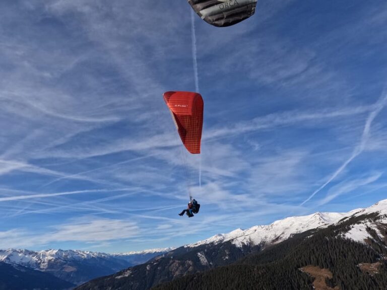 Tandem Paragliding: Early Bird Flight Activity Overview