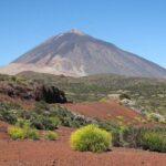 Teide National Park Volcano Teide Guided Adventure