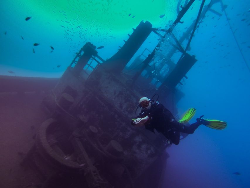 Tenerife: 2 Diving Sessions for Certified Divers - Overview of Diving Sessions