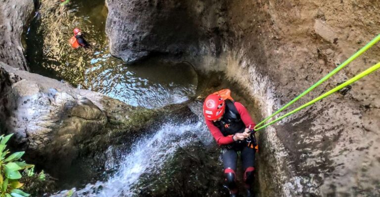 Tenerife: Guided Canyoning Experience Activity Overview