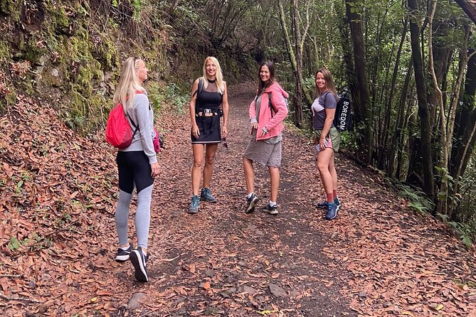 Tenerife: Hiking Through Enchanted Laurel Forest Above Masca Tour Overview