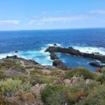 Tenerife: North Coast Landscapes Private Day Tour Tour Overview