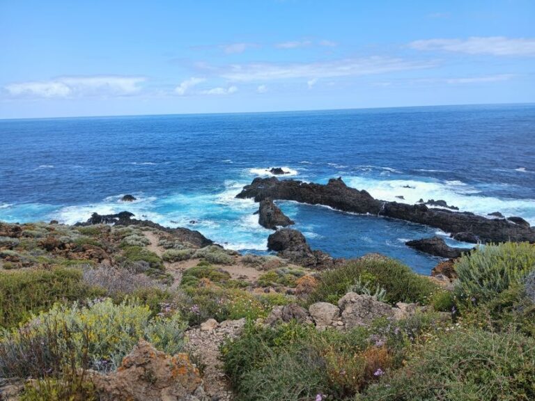 Tenerife: North Coast Landscapes Private Day Tour Tour Overview