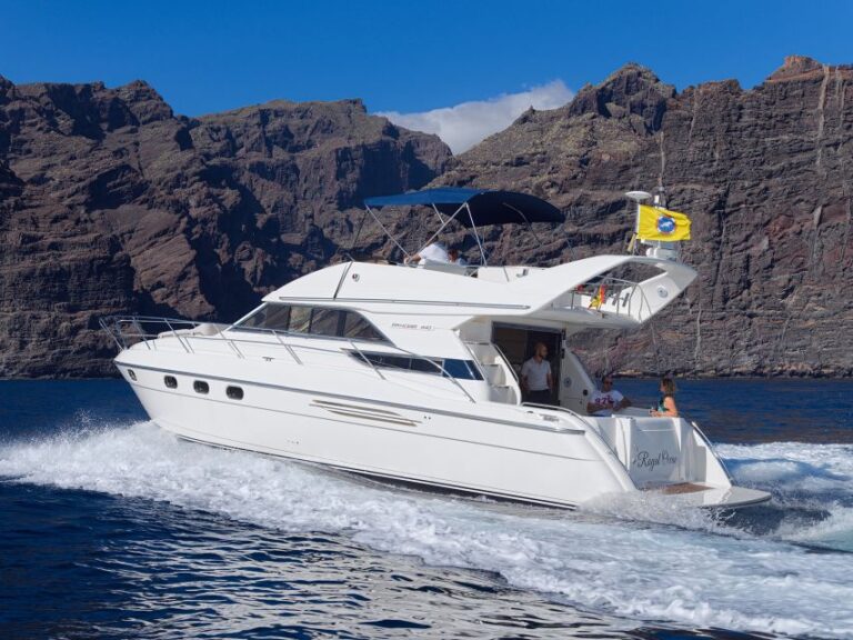 Tenerife: Whales And Snorkeling Tour On A Luxury Yacht Tour Overview And Pricing