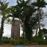 The El Yunque Rainforest Guided Day Tour From San Juan Overview Of The Tour