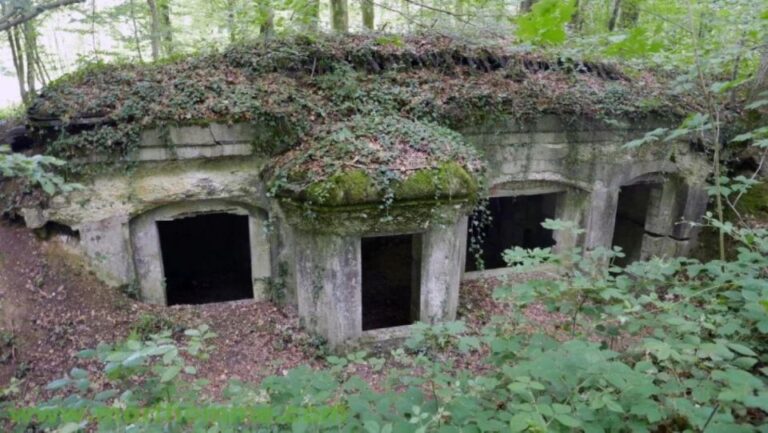 The Meuse Argonne Battlefield Departure From Verdun Or Reims Tour Overview