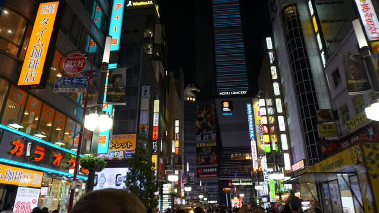 Tokyo After Dark Tour Review: A Night To Remember Tour Overview