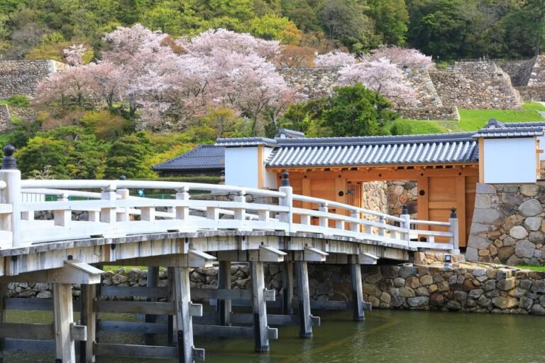 Tokyo: Chiyoda Imperial Palace Walking Tour Tour Overview