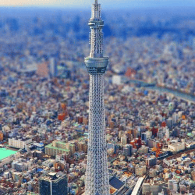 Tokyo Customize Private City Tour By English Speaking Driver - Itinerary Highlights