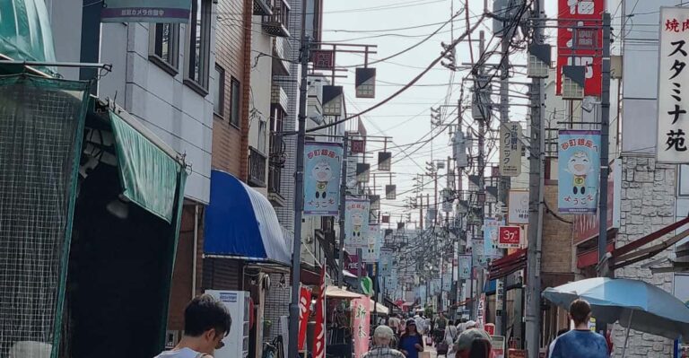 Tokyo: Eating And Walking Tour Of Downtown Shopping District Tour Overview