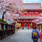 Tokyo: Full Day Private Walking Tour With A Guide Tour Overview