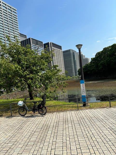 Tokyo : Imperial Palace Night Running Tour - Tour Overview