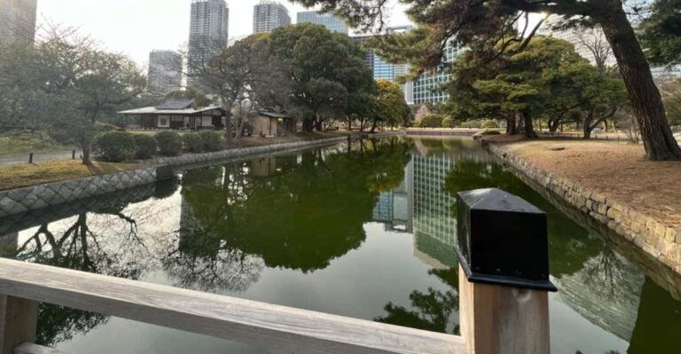 Tokyo : Japanese Garden Guided Walking Tour In Hama Rikyu Tour Overview