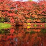 Tokyo Karuizawa Tour Review: A Scenic Adventure Itinerary Highlights