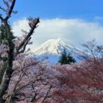 Tokyo, Mount Fuji And Hakone 3 Days Tour Tour Overview And Pricing