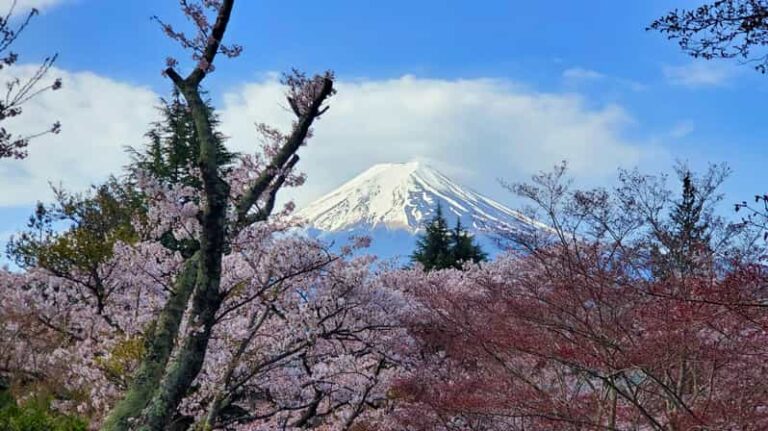 Tokyo, Mount Fuji And Hakone 3 Days Tour Tour Overview And Pricing