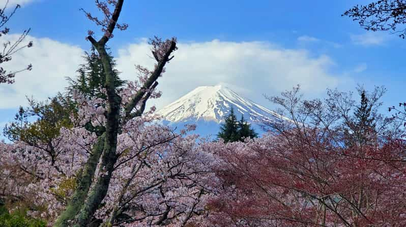 Tokyo, Mount Fuji and Hakone 3 Days Tour - Tour Overview and Pricing