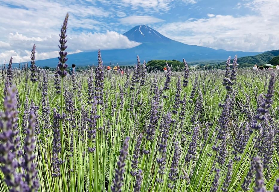 Tokyo: Mount Fuji and Lake Kawaguchi Scenic 1-Day Bus Tour - Tour Overview