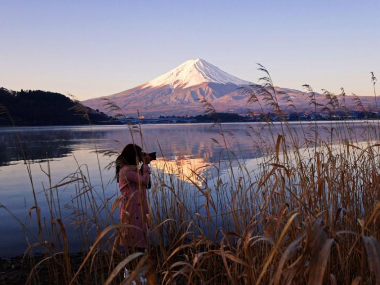 Tokyo: Mt Fuji Day Tour With Kawaguchiko Lake Visit Tour Overview And Pricing