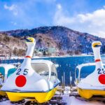 Tokyo: Nikko City Day Trip By Private Car Or Van Pricing And Packages