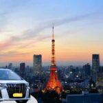 Tokyo Private One Way Transfer Review Service Overview