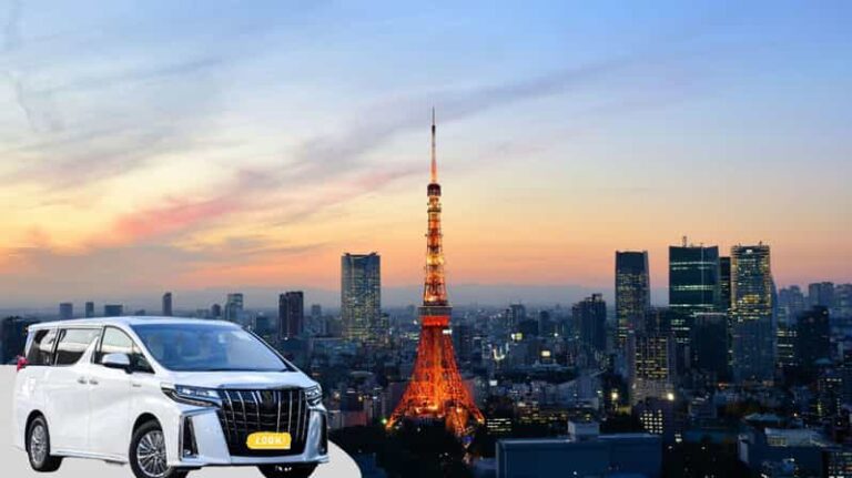 Tokyo Private One Way Transfer Review Service Overview