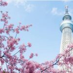 Tokyo Private Tour: Customizable (up To 6 Persons) Tour Overview And Pricing