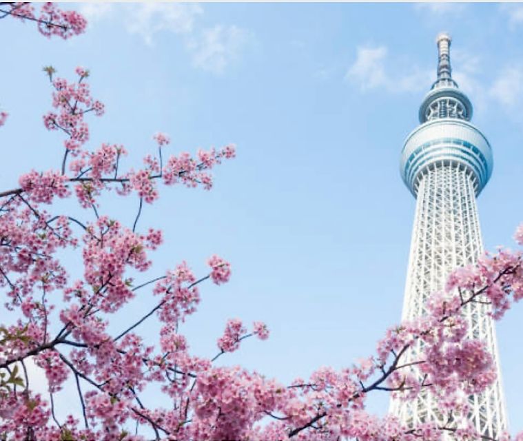 Tokyo Private Tour: Customizable (Up-To 6 Persons) - Tour Overview and Pricing