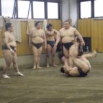 Tokyo: Sumo Morning Practice Viewing Tour Tour Overview And Details