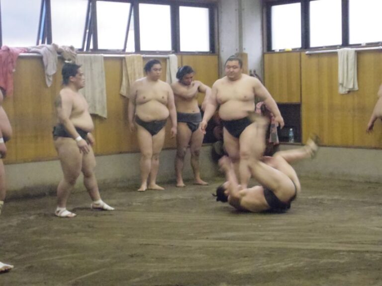 Tokyo: Sumo Morning Practice Viewing Tour Tour Overview And Details