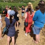 Top Wine Tour Vineyard & Cellar Visit + 6 Top Wines + Tapas Tour Overview