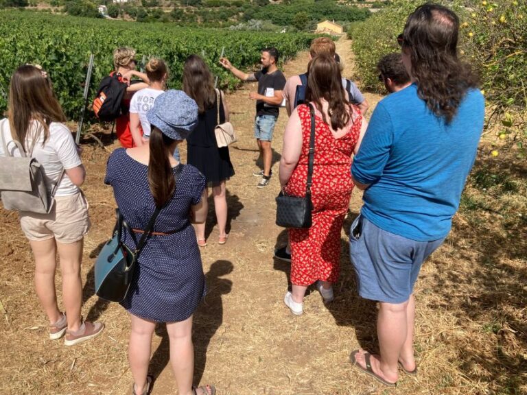 Top Wine Tour Vineyard & Cellar Visit + 6 Top Wines + Tapas Tour Overview