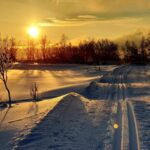 Tromsø: Cross Country Course With A Guide And Views Overview Of The Activity